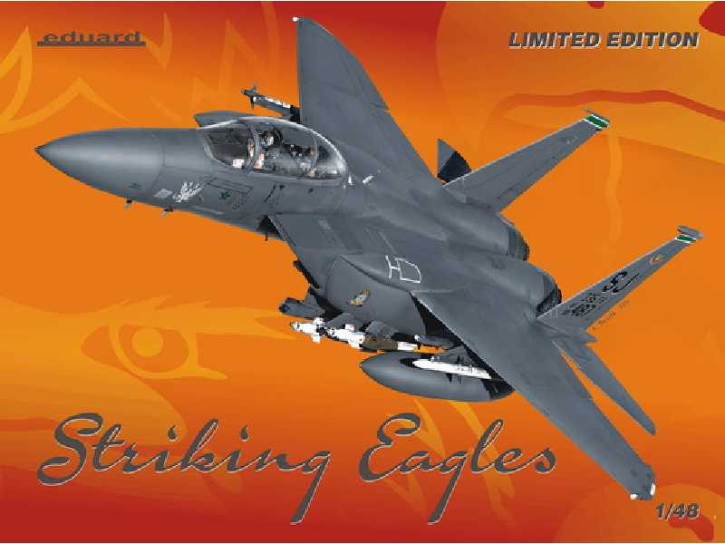 Striking Eagles 1/48 - image 1