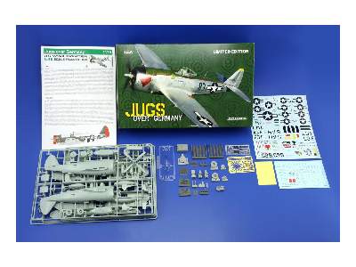 Jugs over Germany (P-47D) 1/48 - image 7