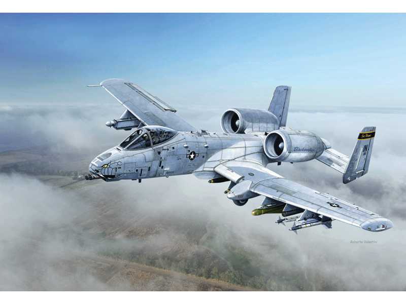 A-10C Blacksnackes - image 1