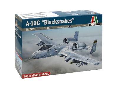 A-10C Blacksnackes - image 2