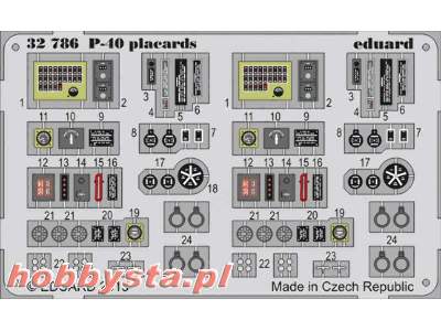 P-40 placards 1/32 - image 1
