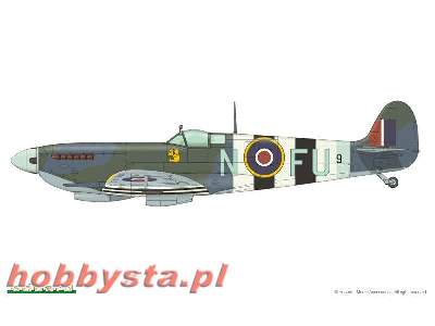 Spitfire Mk. IX  ROYAL CLASS 1/48 - image 5