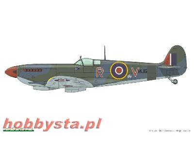 Spitfire Mk. IX  ROYAL CLASS 1/48 - image 8
