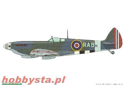 Spitfire Mk. IX  ROYAL CLASS 1/48 - image 10