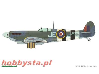 Spitfire Mk. IX  ROYAL CLASS 1/48 - image 15