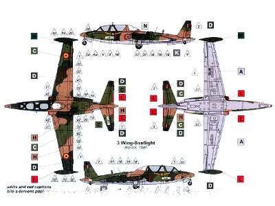 Fouga CM.170R Magister (BAF) - image 2