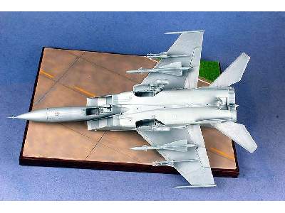 MiG-25 Foxbat - image 12