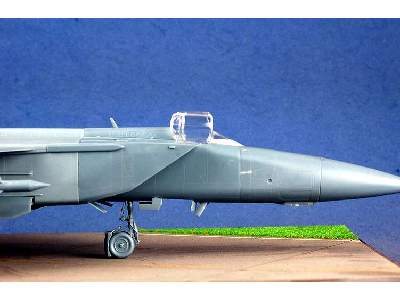 MiG-25 Foxbat - image 33