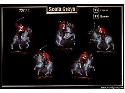 Scots Greys - Napoleonic Wars - image 2