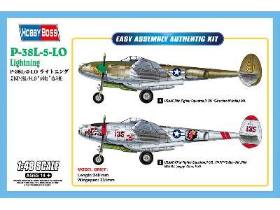P-38L-5-L0 Lightning - Easy Kit - image 1