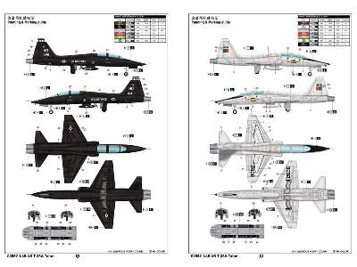 US Northrop T-38A Talon - image 3