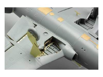 L-29 Delfin exterior 1/48 - Amk - image 13