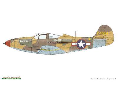 P-39L/ N 1/48 - image 3