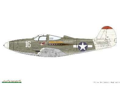 P-39L/ N 1/48 - image 4