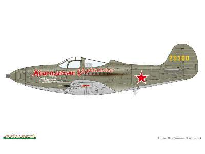 P-39L/ N 1/48 - image 6