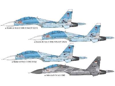 S-30M2 Flanker - Russian Air Force - image 6