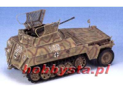 Sd.Kfz. 250/9 NEU 2cm Reconnaissance - image 3