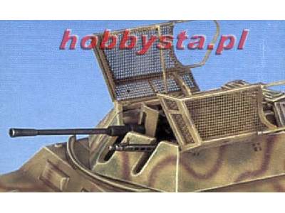 Sd.Kfz. 250/9 NEU 2cm Reconnaissance - image 4