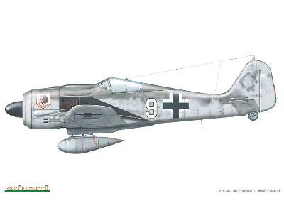 Fw 190A Nightfighter 1/48 - image 2