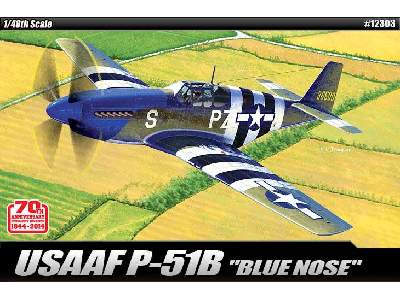 USAAF P-51B Blue Nose - image 1