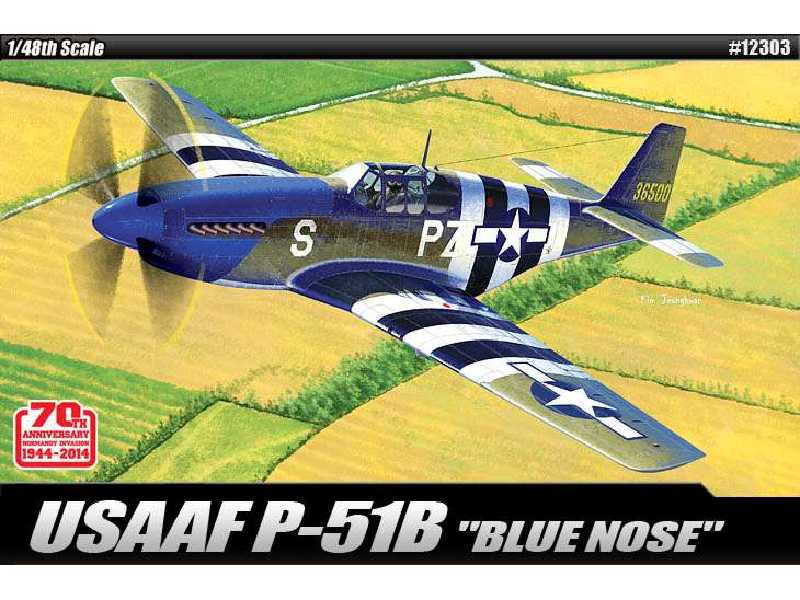 USAAF P-51B Blue Nose - image 1