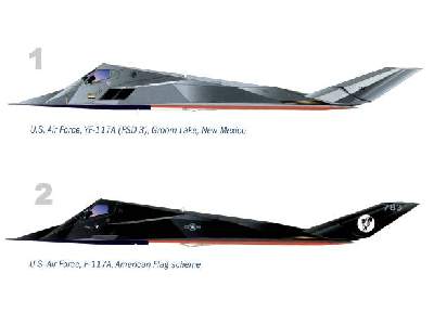 F-117A Nighthawk Stars and Stripes - image 2