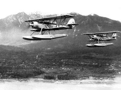 Blackburn Shark British torpedo bomber - image 12