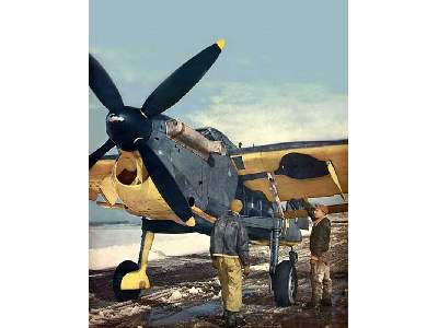 Fairey Barracuda Mk.II British carrier-borne torpedo bomber - image 8