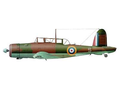 Blackburn Skua Mk.II British carrier-borne dive bomber - image 7