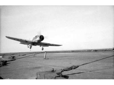 Blackburn Skua Mk.II British carrier-borne dive bomber - image 9