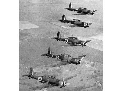 Blackburn Skua Mk.II British carrier-borne dive bomber - image 11