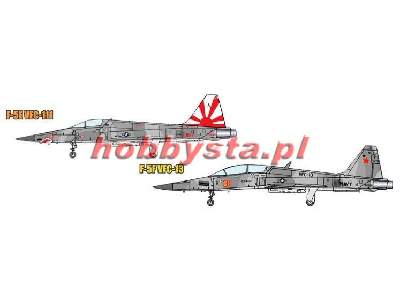 Aggressors F-5E VFC-111 & F-5F VFC-13 - 2 pcs. - image 3