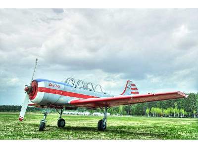 Yakovlev Yak-52 Russian aerobatics training aircraft - image 5