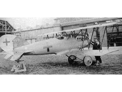 Pfalz D.XII German fighter - image 7