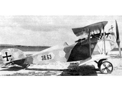 Aviatik (Berg) D.I Austro-Hungarian fighter - image 3