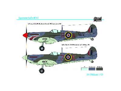 Seafire Mk.IIc - image 7
