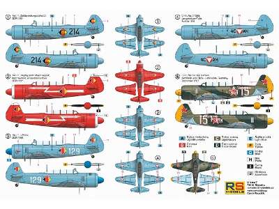 Yak-11 / C-11 Moose - image 2