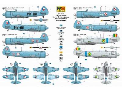 Jak-11 / C-11 Moose - image 2