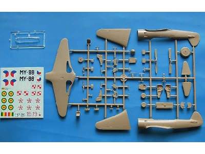 Jak-11 / C-11 Moose - image 3