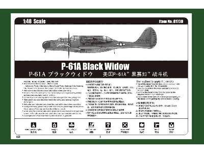 P-61A Black Widow - image 5