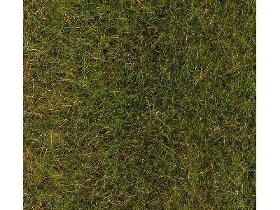 PREMIUM Ground cover fibres, Spring Meadow, 30 g - image 1