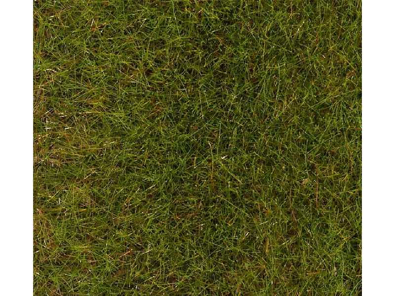 PREMIUM Ground cover fibres, Spring Meadow, 30 g - image 1