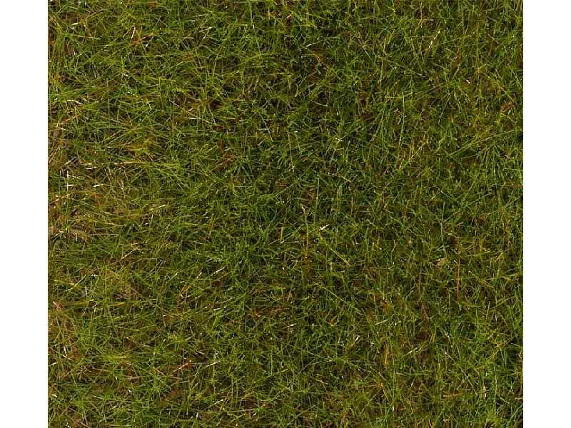 PREMIUM Ground cover fibres, Spring Meadow, 30 g - image 1 PREMIUM Ground cover fibres, Spring Meadow, 30 g - image 1