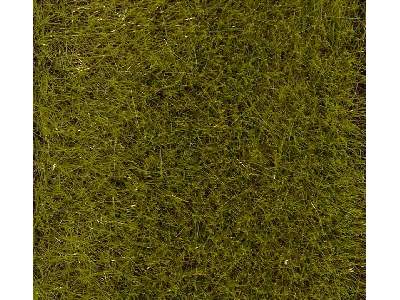 PREMIUM Ground cover fibres, Early Summer Meadow, 30 g - image 1