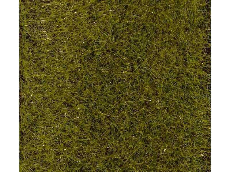 PREMIUM Ground cover fibres, Early Summer Meadow, 30 g - image 1