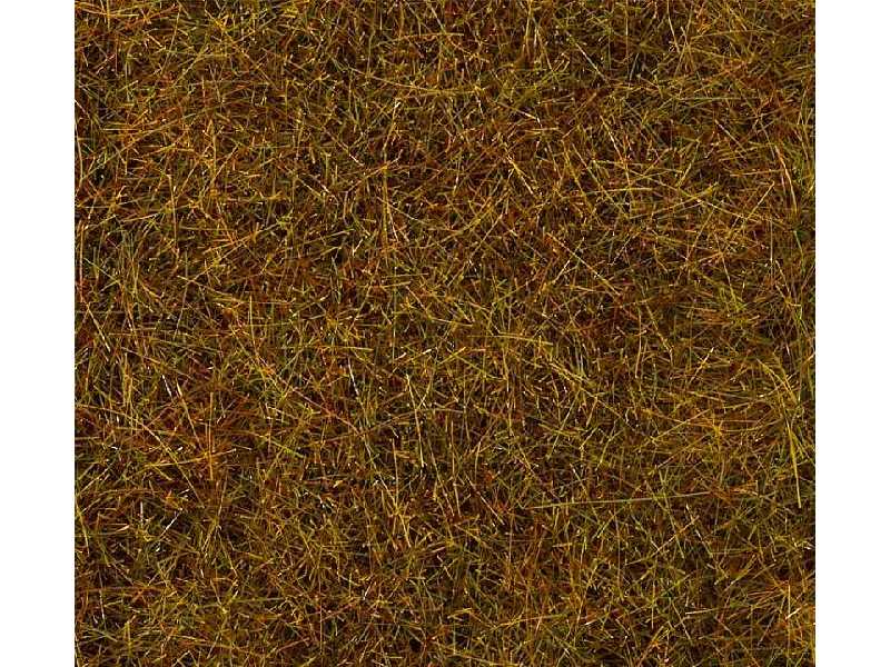 PREMIUM Ground cover fibres, Autumn Meadow, 30 g - image 1