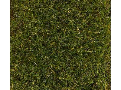 PREMIUM Ground cover fibres, Summer Meadow, 30 g - image 1