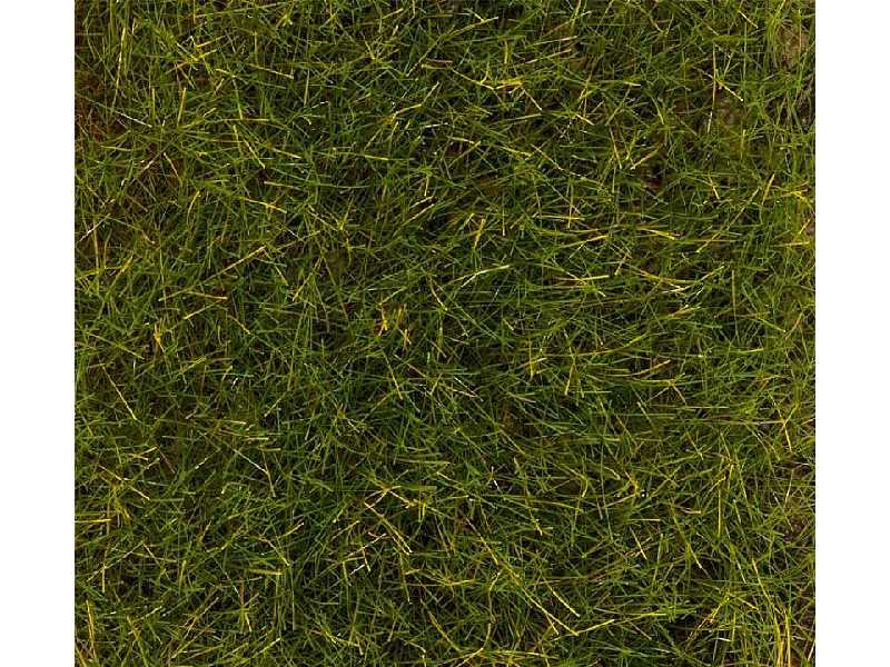 PREMIUM Ground cover fibres, Summer Meadow, 30 g - image 1