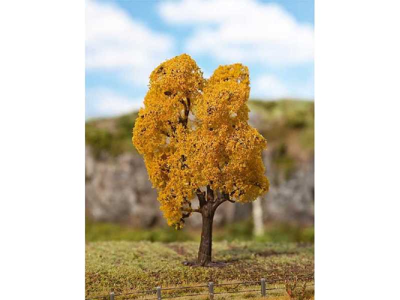 1 PREMIUM Norway maple, Autumn foliage - image 1