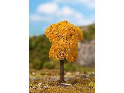 1 PREMIUM Ash, Autumn foliage - image 1